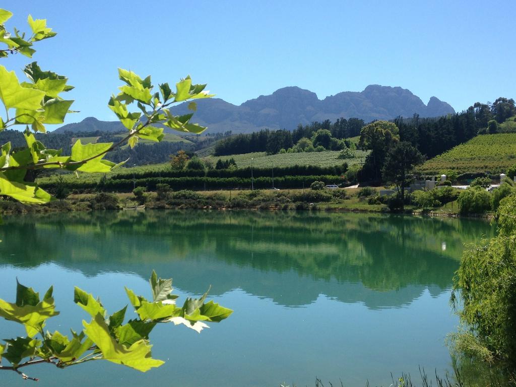 Fynbos Feniks Apartment Stellenbosch Exteriör bild
